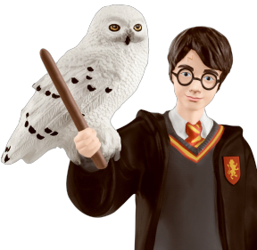 Harry Potter